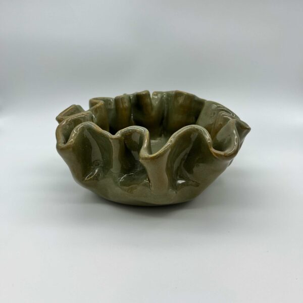 BOWL ORGANICO (PLIEGUES) - Image 2