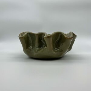 BOWL ORGANICO (PLIEGUES)